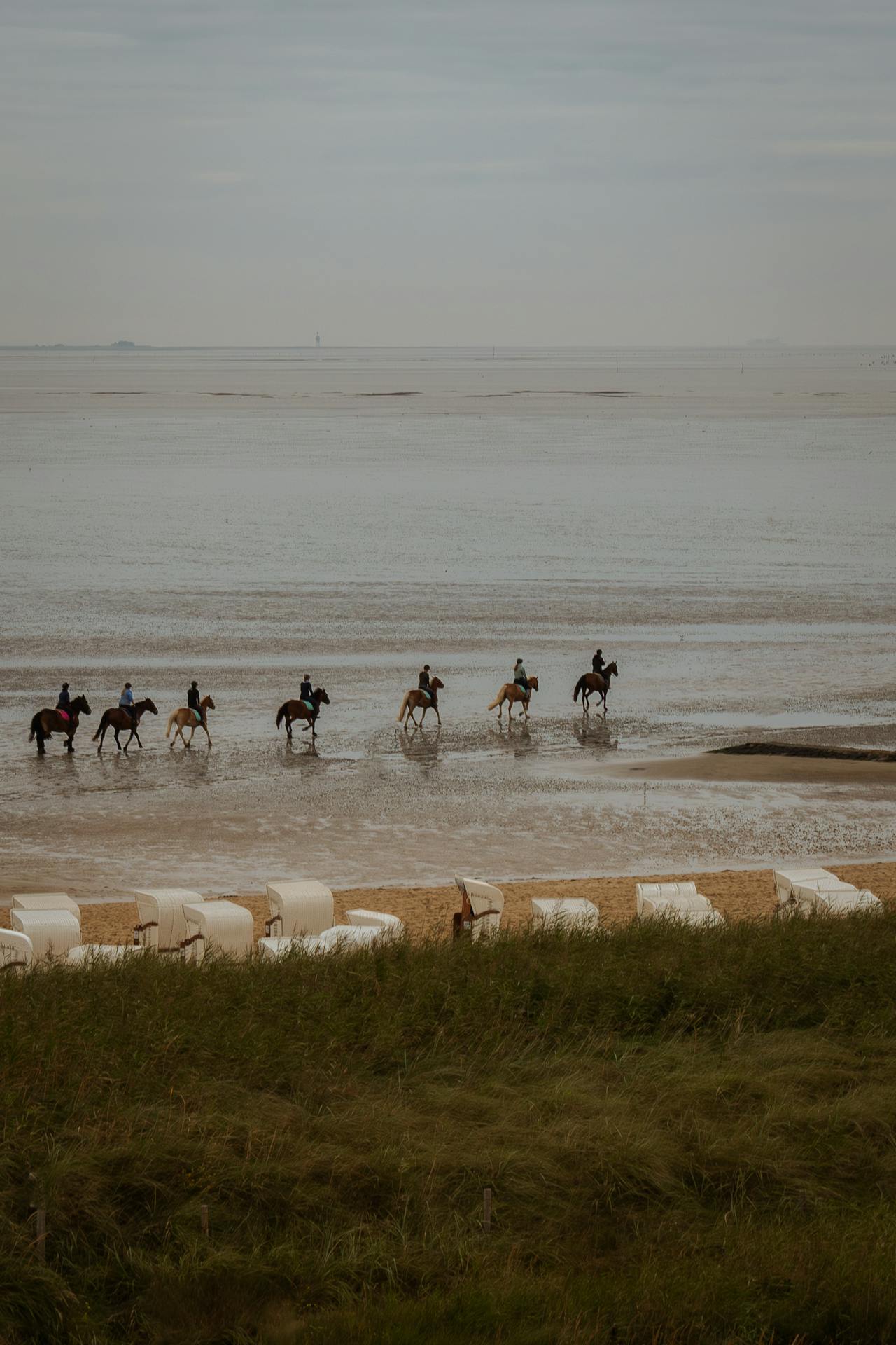 Horse riding along the Essaouira coastline